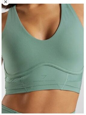 Gymshark Whitney Simmons longline bra